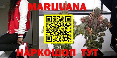 крисы Малоярославец