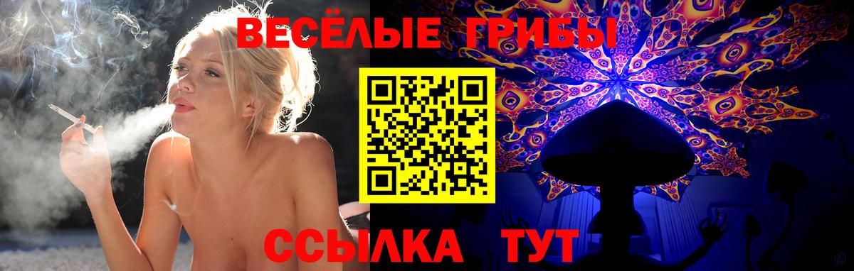 Галлюциногенные грибы Cubensis  Вход с VPN  Дзержинск 